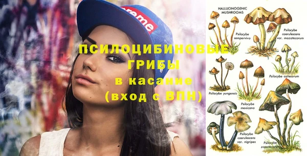 соль курить ск Арсеньев